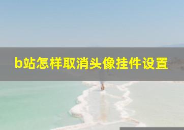 b站怎样取消头像挂件设置