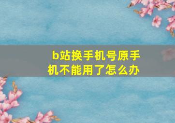 b站换手机号原手机不能用了怎么办