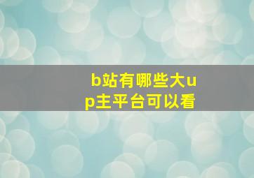 b站有哪些大up主平台可以看