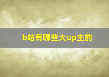 b站有哪些大up主的