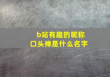 b站有趣的昵称口头禅是什么名字