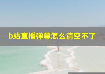 b站直播弹幕怎么清空不了