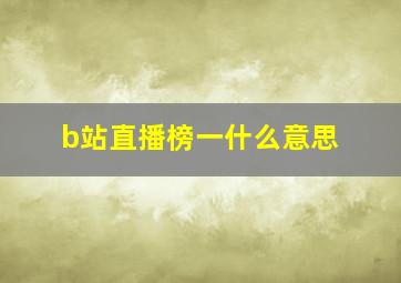 b站直播榜一什么意思