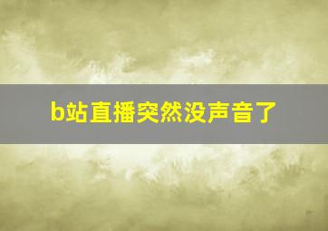 b站直播突然没声音了