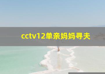 cctv12单亲妈妈寻夫