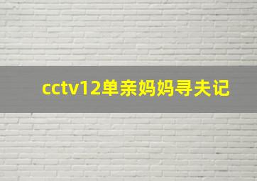 cctv12单亲妈妈寻夫记