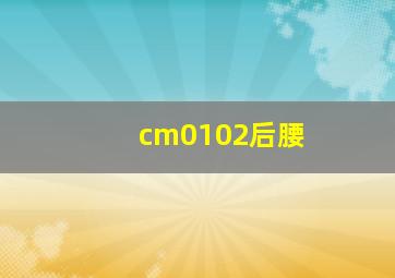 cm0102后腰