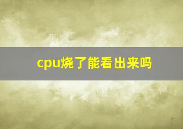 cpu烧了能看出来吗