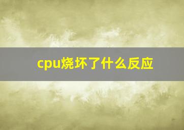 cpu烧坏了什么反应