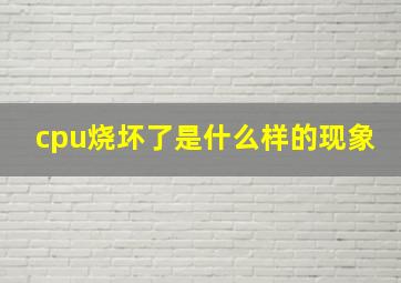 cpu烧坏了是什么样的现象