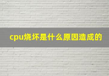 cpu烧坏是什么原因造成的