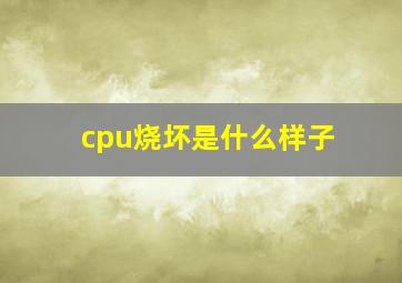 cpu烧坏是什么样子