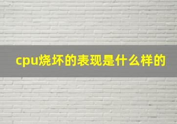 cpu烧坏的表现是什么样的