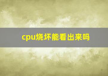 cpu烧坏能看出来吗