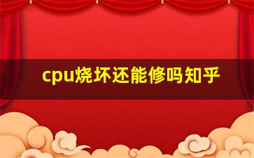 cpu烧坏还能修吗知乎