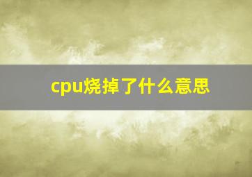 cpu烧掉了什么意思