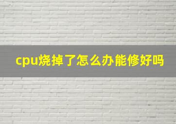 cpu烧掉了怎么办能修好吗