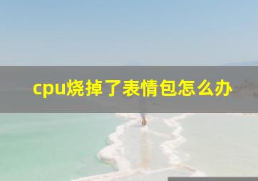 cpu烧掉了表情包怎么办