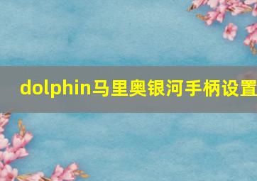 dolphin马里奥银河手柄设置