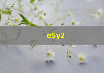 e5y2