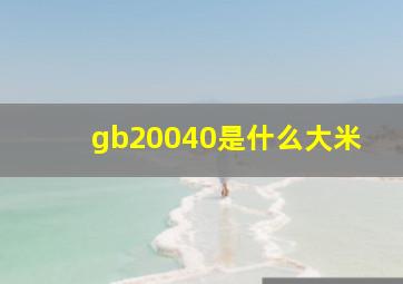 gb20040是什么大米