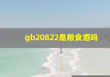 gb20822是粮食酒吗