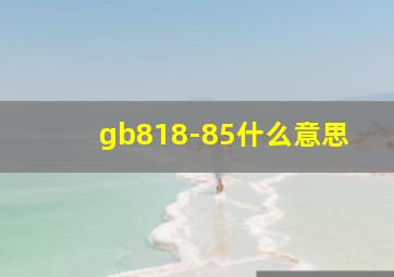 gb818-85什么意思