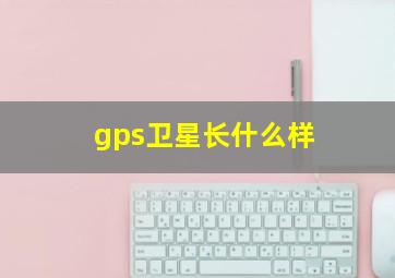 gps卫星长什么样