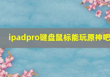 ipadpro键盘鼠标能玩原神吧