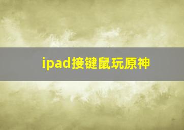 ipad接键鼠玩原神