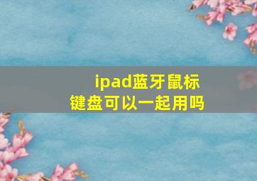 ipad蓝牙鼠标键盘可以一起用吗