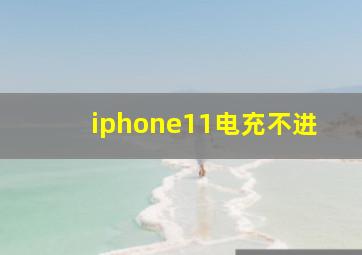 iphone11电充不进