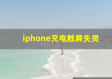 iphone充电触屏失灵