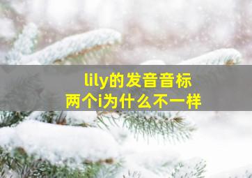 lily的发音音标两个i为什么不一样