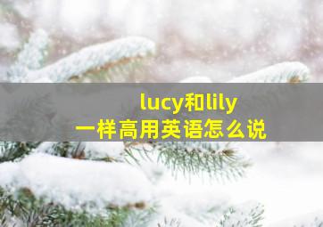 lucy和lily一样高用英语怎么说