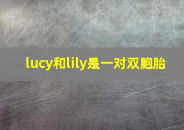 lucy和lily是一对双胞胎