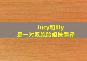 lucy和lily是一对双胞胎姐妹翻译