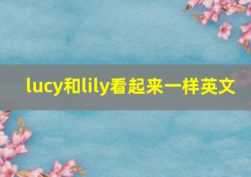 lucy和lily看起来一样英文