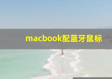 macbook配蓝牙鼠标