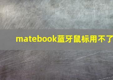 matebook蓝牙鼠标用不了