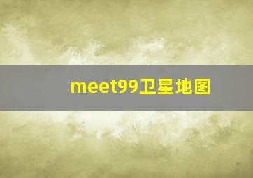 meet99卫星地图