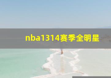 nba1314赛季全明星