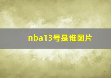 nba13号是谁图片