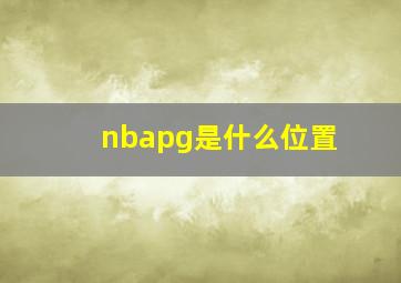 nbapg是什么位置