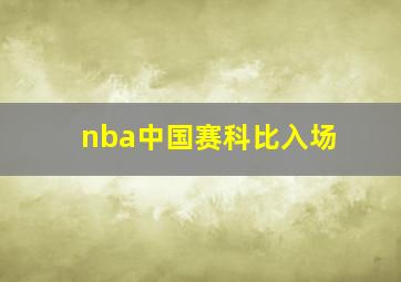 nba中国赛科比入场