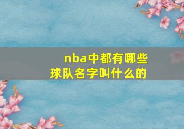 nba中都有哪些球队名字叫什么的