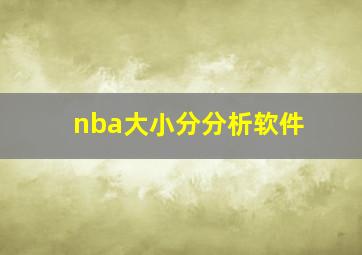 nba大小分分析软件