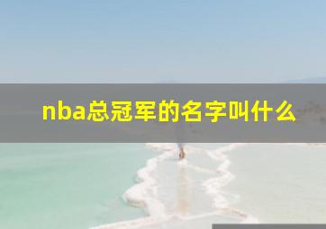 nba总冠军的名字叫什么