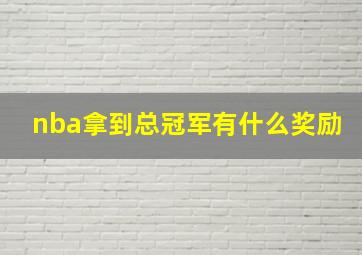 nba拿到总冠军有什么奖励