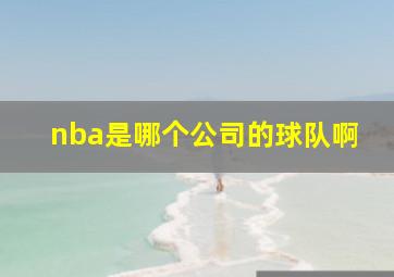 nba是哪个公司的球队啊